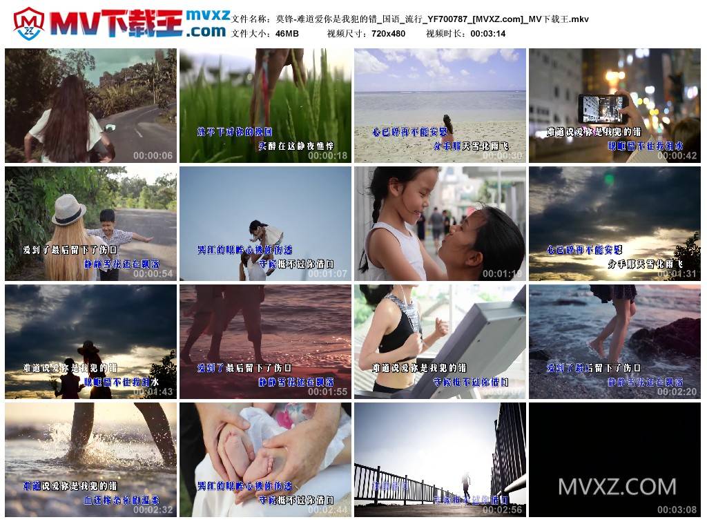 莫锋-难道爱你是我犯的错_国语_流行_YF700787
